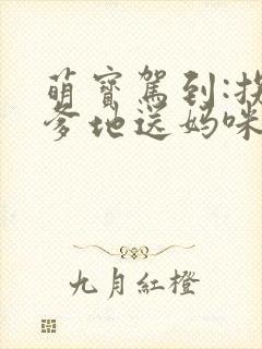 萌宝驾到:拐个爹地送妈咪