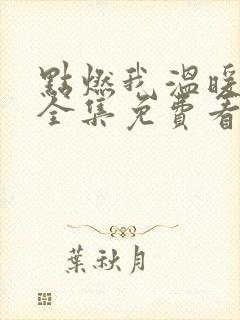 点燃我温暖你在全集免费看电视剧