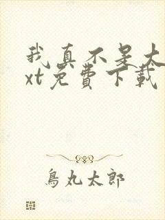 我真不是大佬txt免费下载