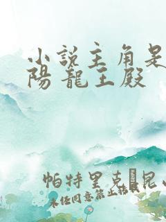 小说主角是 萧阳 龙王殿