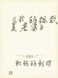 《我的总裁白富美老婆》