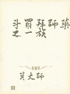 斗罗拜师药老破之一族