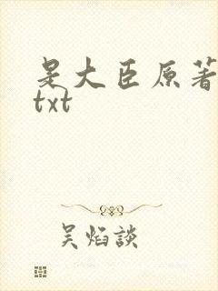 是大臣原著小说txt