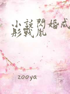 小说闪婚成宠海彤战胤