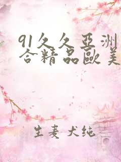 91久久亚洲综合精品欧美