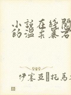 小说在线阅读我的温柔暴君