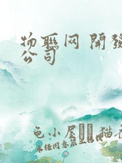 物联网 开发 公司