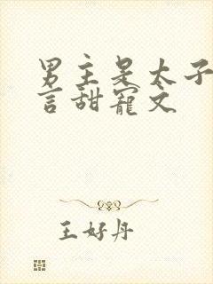 男主是太子的古言甜宠文