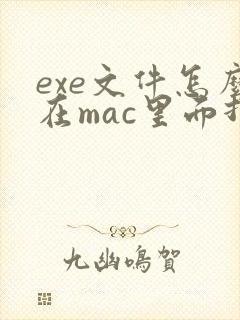 exe文件怎么在mac里面打开