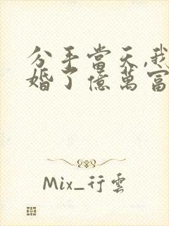 分手当天,我闪婚了亿万富豪全文免费阅读