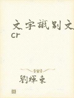 文字识别文件ocr