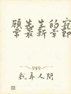 顾先生的宠妻日常最新章节免费阅读