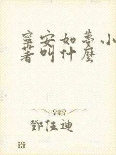 宁安如梦小说原著叫什么