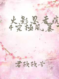 火影忍者疾风传4究极风暴下载