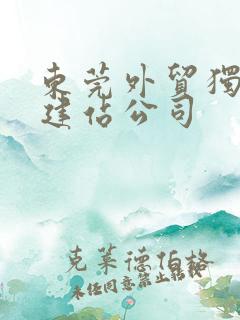 东莞外贸独立站建站公司