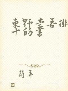 东野圭吾排名前十的书