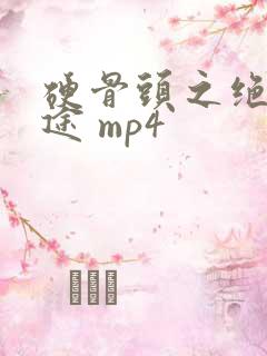 硬骨头之绝地归途 mp4