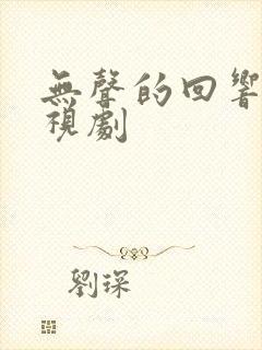 无声的回响 电视剧