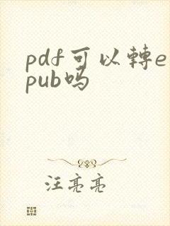 pdf可以转epub吗