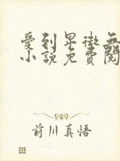 爱到卑微无遗憾小说免费阅读