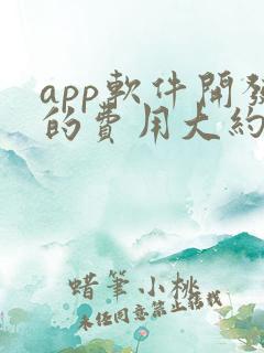 app软件开发的费用大约多少