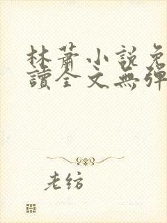 林萧小说免费阅读全文无弹窗