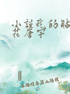 小说我的贴身校花唐宇