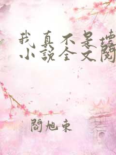 我真不是坏男人小说全文阅读