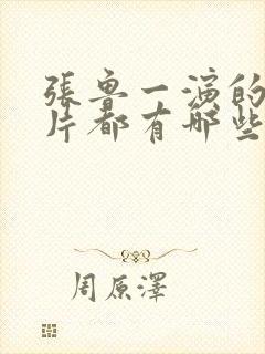 张鲁一演的谍战片都有哪些