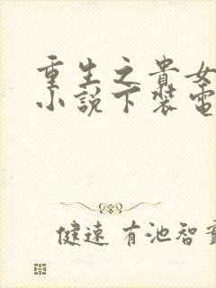 重生之贵女难求小说下装电子书