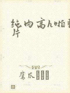 纯肉高h啪动漫片