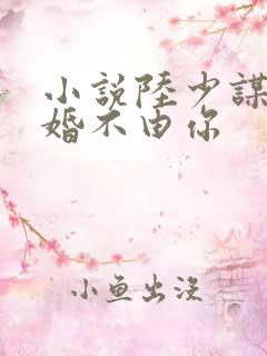 小说陆少谋妻之婚不由你