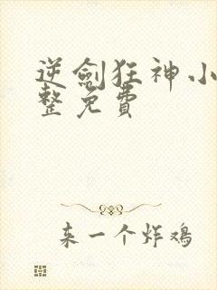 逆剑狂神小说完整免费