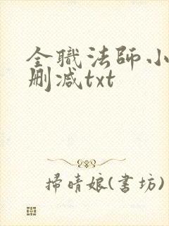 全职法师小说无删减txt