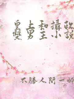 皇上和摄政王的双男主小说