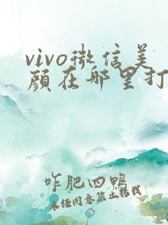 vivo微信美颜在哪里打开