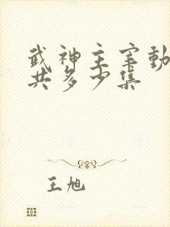 武神主宰动漫一共多少集