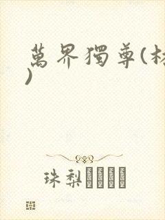 万界独尊(林枫)