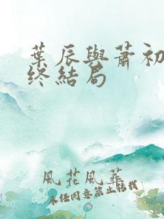 叶辰与萧初然最终结局