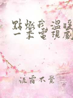 点燃我温暖你第一季电视剧免费观看