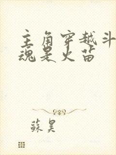 主角穿越斗罗武魂是火苗