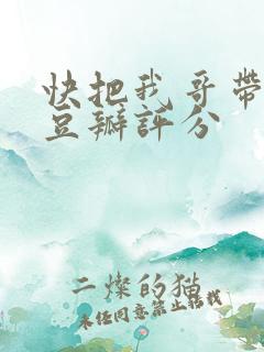 快把我哥带走 豆瓣评分