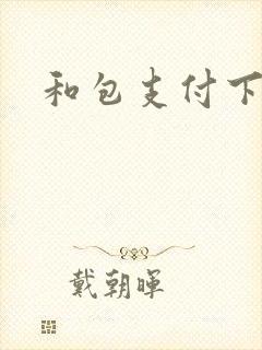 和包支付下载