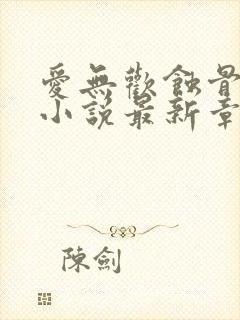 爱无欢蚀骨惊情小说最新章节阅读全文