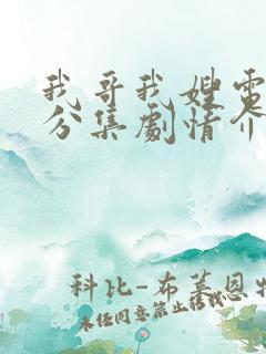 我哥我嫂电视剧分集剧情介绍