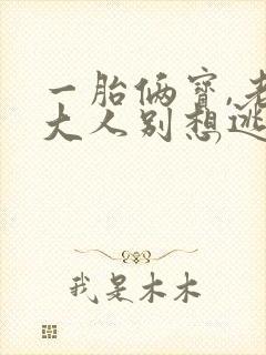 一胎俩宝,老婆大人别想逃有声