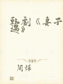 韩剧《妻子的外遇》