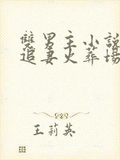 双男主小说推文追妻火葬场