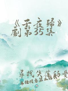 《子夜归》电视剧第35集