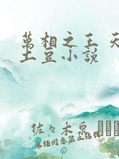 万相之王 天蚕土豆小说